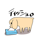 うちのあめこか（個別スタンプ：14）