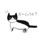 下町の猫たち ～マサとしることナンジ～（個別スタンプ：2）