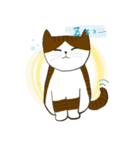 下町の猫たち ～マサとしることナンジ～（個別スタンプ：13）