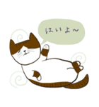 下町の猫たち ～マサとしることナンジ～（個別スタンプ：21）
