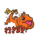 日常爬虫類ず（個別スタンプ：5）