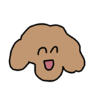 トイプードルのくーちゃんアンド京都（個別スタンプ：1）