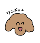 トイプードルのくーちゃんアンド京都（個別スタンプ：5）