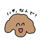 トイプードルのくーちゃんアンド京都（個別スタンプ：17）