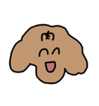 トイプードルのくーちゃんアンド京都（個別スタンプ：19）