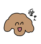 トイプードルのくーちゃんアンド京都（個別スタンプ：21）