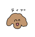 トイプードルのくーちゃんアンド京都（個別スタンプ：31）