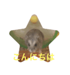 サファイアブルーのいちご（個別スタンプ：1）