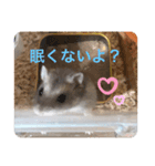 サファイアブルーのいちご（個別スタンプ：3）