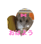 サファイアブルーのいちご（個別スタンプ：8）