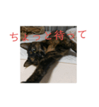 momo vol.1（個別スタンプ：4）
