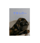 momo vol.1（個別スタンプ：7）