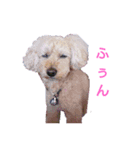 MARONlovely（個別スタンプ：4）