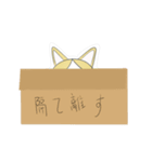 マスクをした猫（個別スタンプ：8）