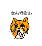 猫で伝えたい感情 2（個別スタンプ：3）
