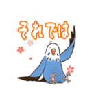 文字入り！インコのブンさん【お仕事/日常】（個別スタンプ：5）