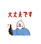 文字入り！インコのブンさん【お仕事/日常】（個別スタンプ：11）