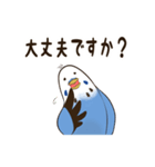 文字入り！インコのブンさん【お仕事/日常】（個別スタンプ：12）