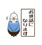 文字入り！インコのブンさん【お仕事/日常】（個別スタンプ：14）