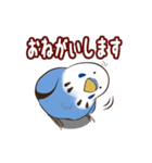 文字入り！インコのブンさん【お仕事/日常】（個別スタンプ：15）