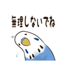 文字入り！インコのブンさん【お仕事/日常】（個別スタンプ：25）