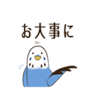 文字入り！インコのブンさん【お仕事/日常】（個別スタンプ：27）
