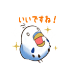 文字入り！インコのブンさん【お仕事/日常】（個別スタンプ：30）