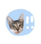 【手書き】すずスタンプ②（個別スタンプ：2）