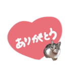 【手書き】すずスタンプ②（個別スタンプ：4）