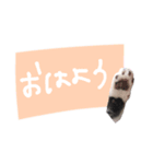 【手書き】すずスタンプ②（個別スタンプ：5）