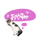 【手書き】すずスタンプ②（個別スタンプ：6）