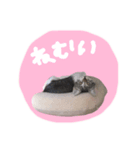 【手書き】すずスタンプ②（個別スタンプ：7）