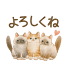 使いやすい☆猫たちのスタンプ 2（個別スタンプ：1）