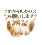 使いやすい☆猫たちのスタンプ 2（個別スタンプ：2）