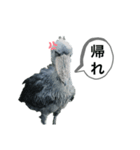 はしびろこうの一言（個別スタンプ：1）