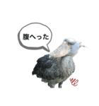 はしびろこうの一言（個別スタンプ：2）