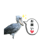 はしびろこうの一言（個別スタンプ：3）