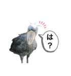 はしびろこうの一言（個別スタンプ：4）