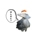 はしびろこうの一言（個別スタンプ：5）