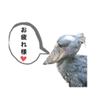 はしびろこうの一言（個別スタンプ：6）