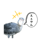はしびろこうの一言（個別スタンプ：8）