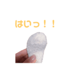 いつものわんわん（個別スタンプ：4）