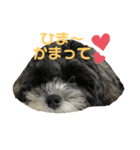 てつの気持ち（個別スタンプ：4）