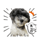 てつの気持ち（個別スタンプ：6）
