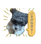 てつの気持ち（個別スタンプ：7）