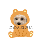 マイdogスタンプ（個別スタンプ：8）