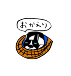 ボストンテリアこじろう先輩 応用編2（個別スタンプ：10）
