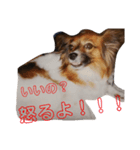 チャムネ 2（個別スタンプ：2）