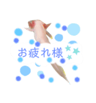 ウーパールーパー1.rei（個別スタンプ：3）