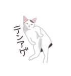 おこめとみんと（個別スタンプ：17）